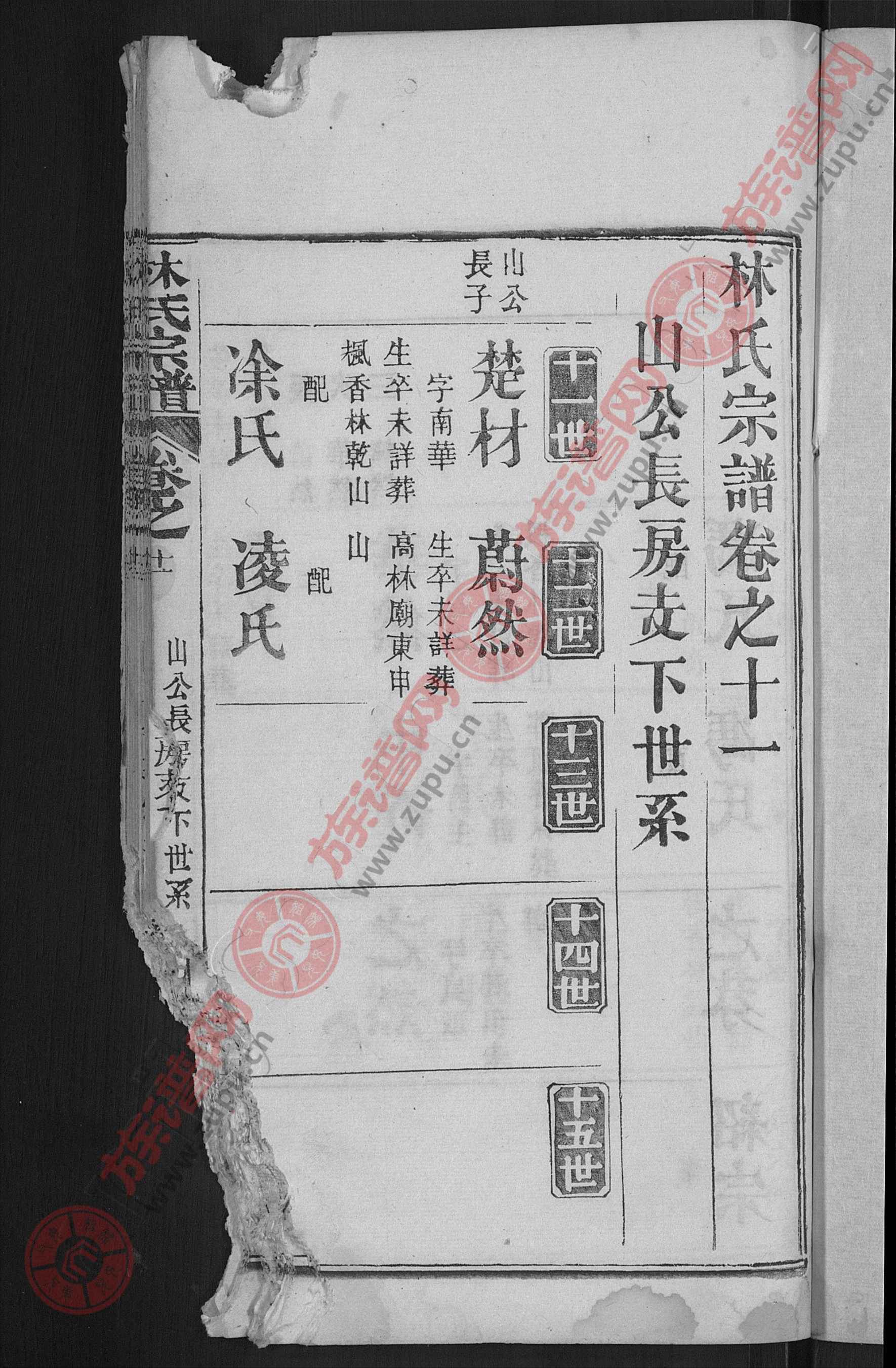 林氏宗谱 [27卷]第3本